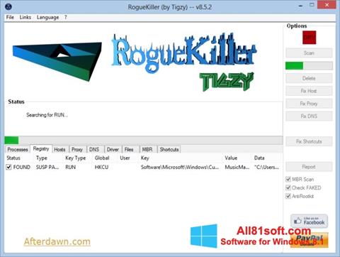 截圖 RogueKiller Windows 8.1