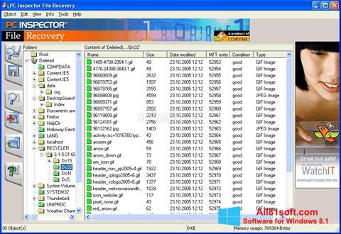 截圖 PC Inspector File Recovery Windows 8.1