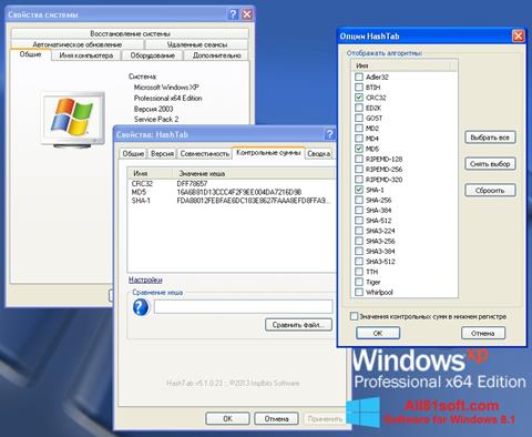 截圖 HashTab Windows 8.1